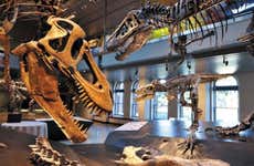 Entrada al Museo de Historia Natural de Los Ángeles