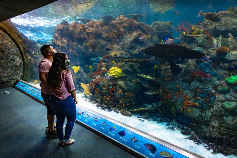 Aquarium of The Pacific