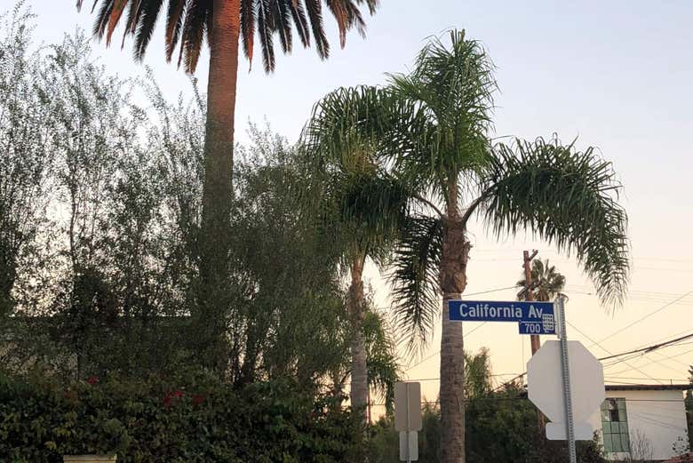 Avenue de Venice Beach