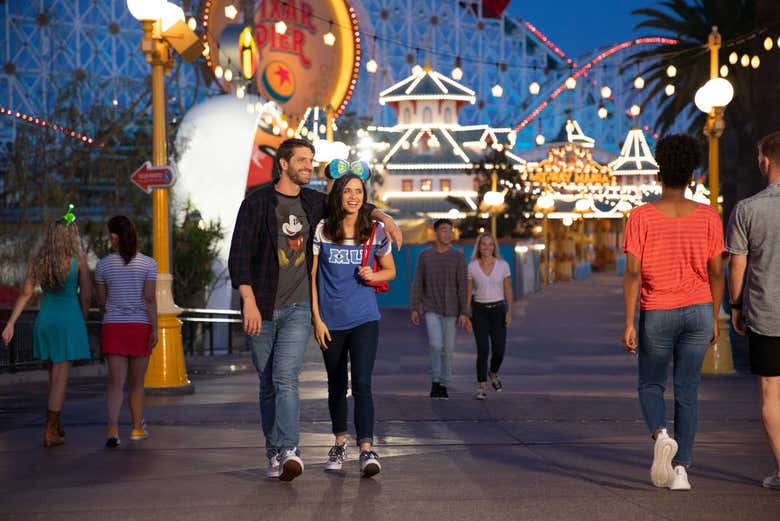 Disneyland in the evening