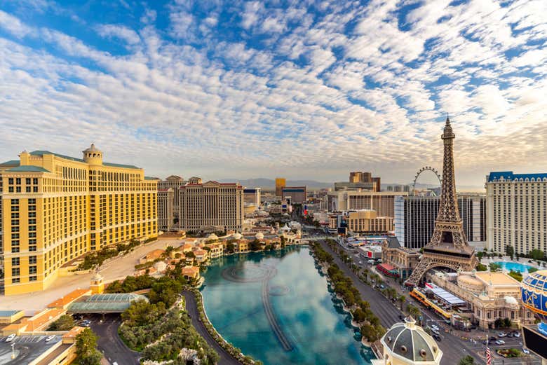 Viva Las Vegas !