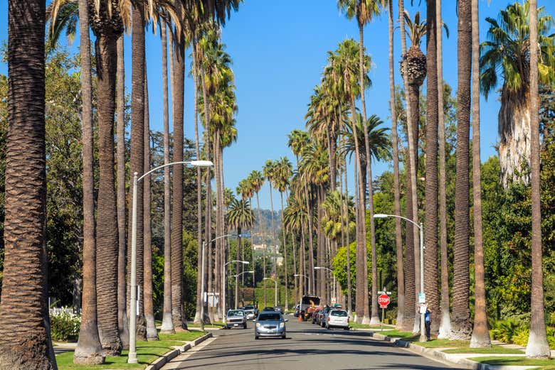 Recorriendo Beverly Hills