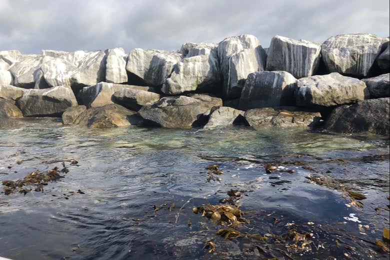 Rocce al largo della costa di Long Beach