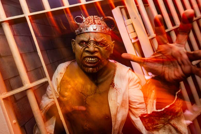 Ready for a fun night full of screams?