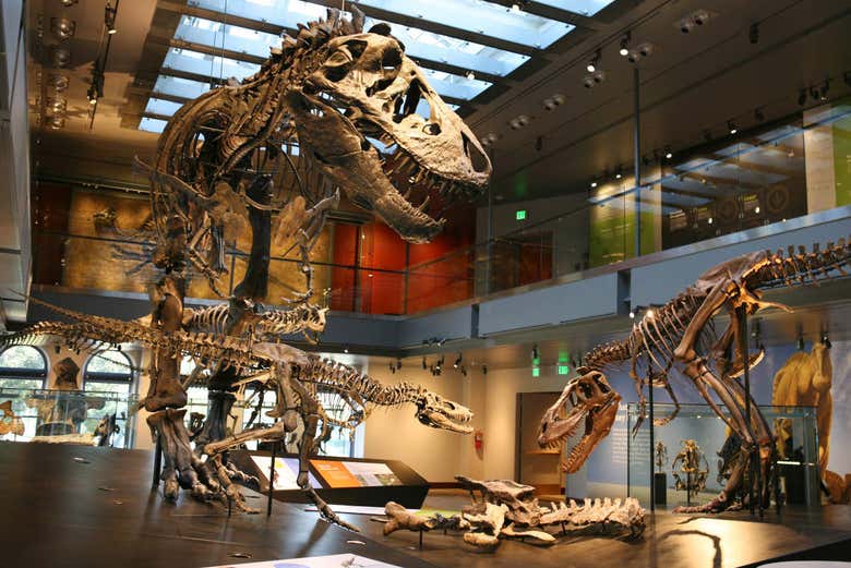 Natural History Museum 