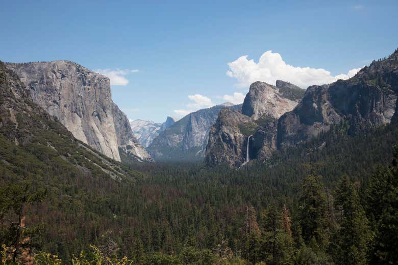 Landscapes of Yosemite