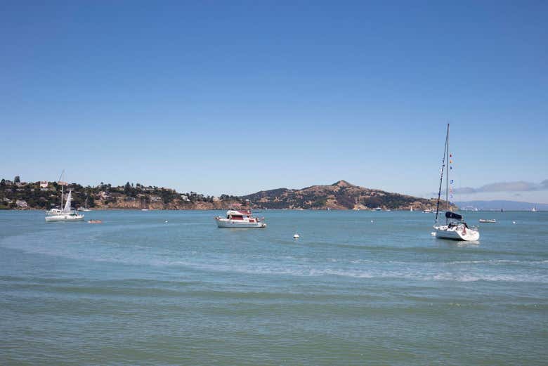 Durante o passeio de barco pela baía de São Francisco