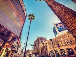 Hollywood Boulevard