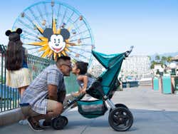 La grande roue de Disney