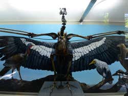Exposición Rancho La Brea