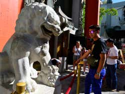 León del Teatro Chino