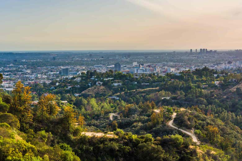 Panoramic view of the park