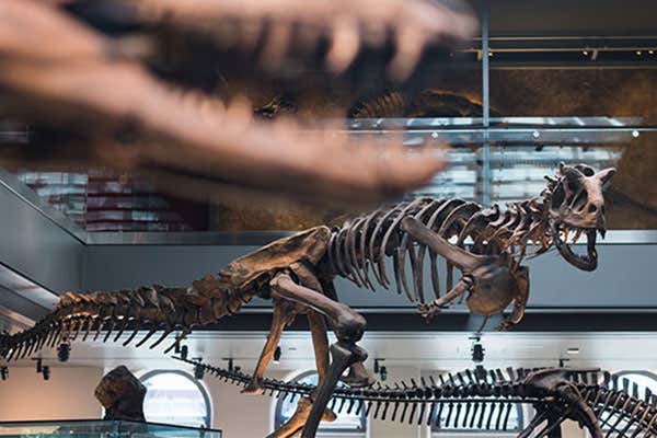 Museo di Storia Naturale