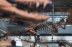 Museo de Historia Natural