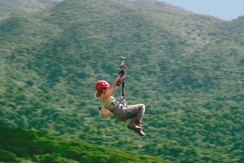 Disfruta de ziplining en el Bosque Nacional de El Yunque.