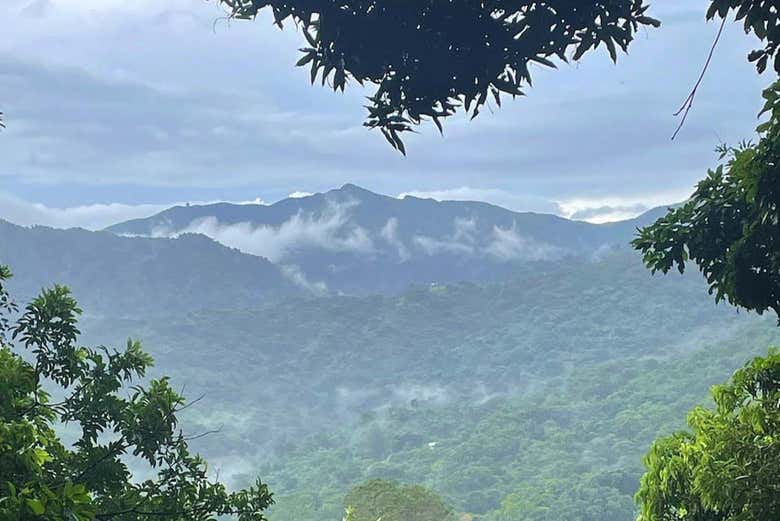 Disfriuta de las bellas vistas del Bosque Nacional pluvial El Yu