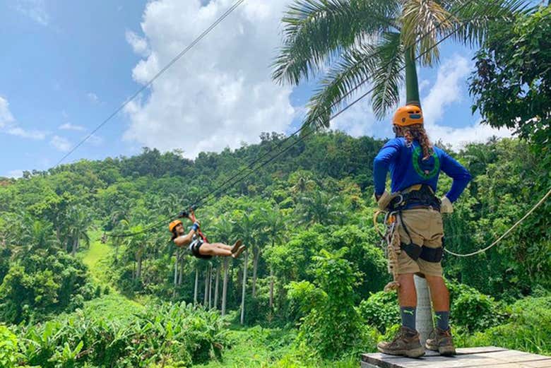 Disfriuta de ziplining en el Bosque Nacional de El Yunque.