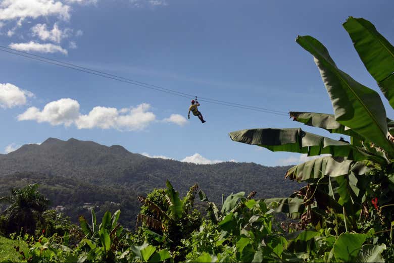 Tirolina con vistas al Bosque Nacional El Yunque