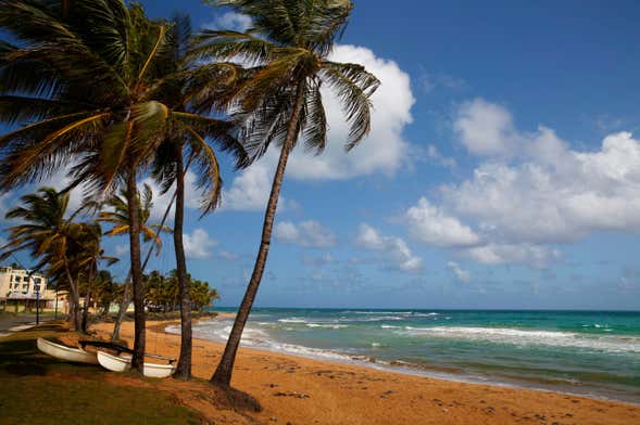 Tour della foresta El Yunque + Spiagge di Luquillo