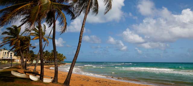 Tour por el Bosque El Yunque + Playas de Luquillo