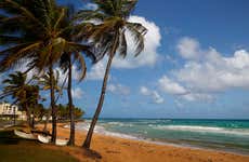 Tour por el Bosque El Yunque + Playas de Luquillo