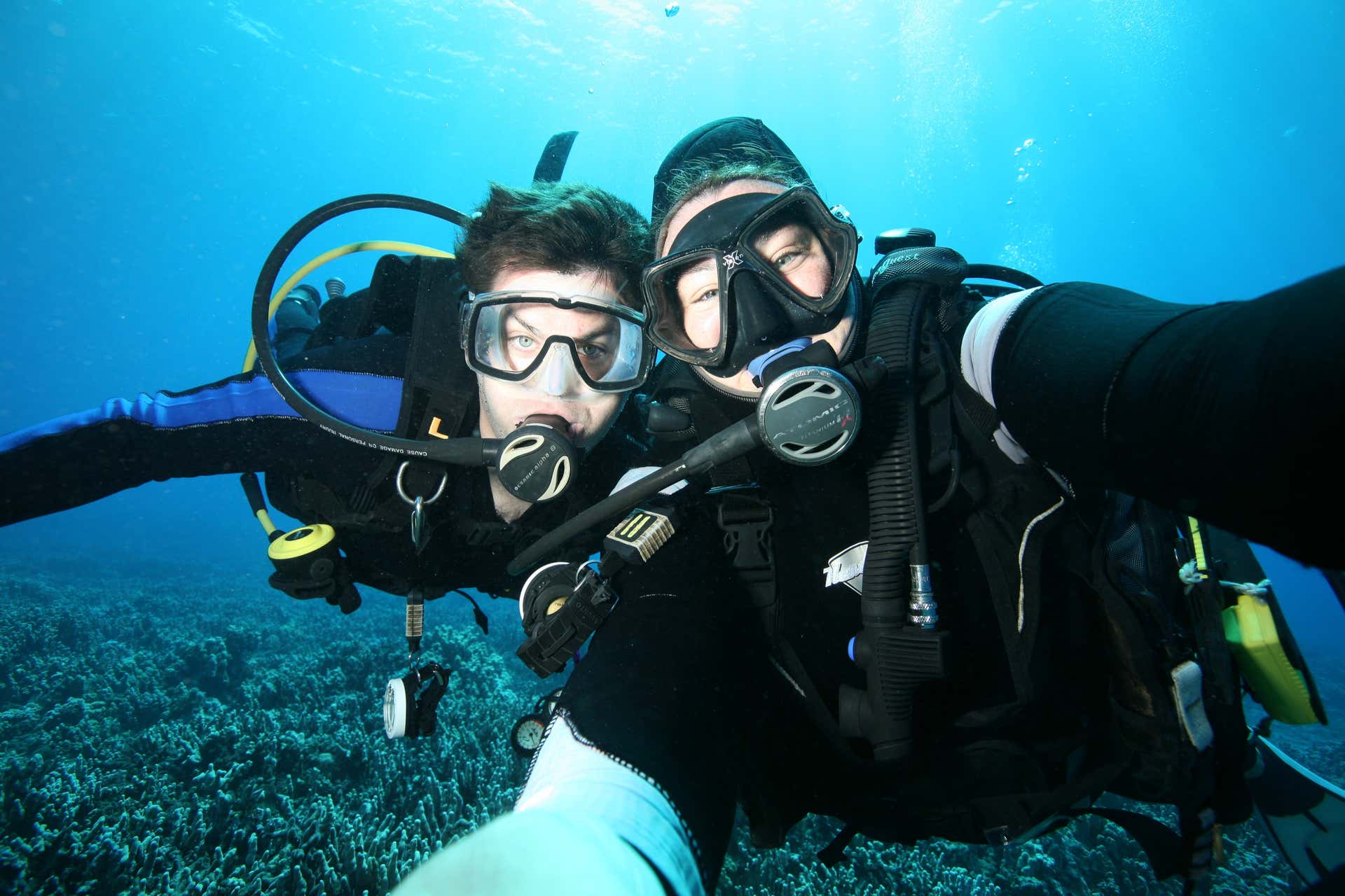 Maui Scuba Diving Introduction in Lahaina Book at