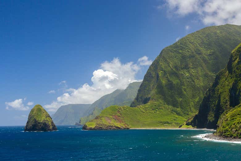 Falaises de Molokai