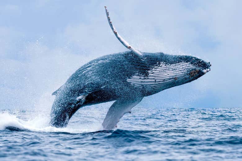 Vous vivrez une expérience unique