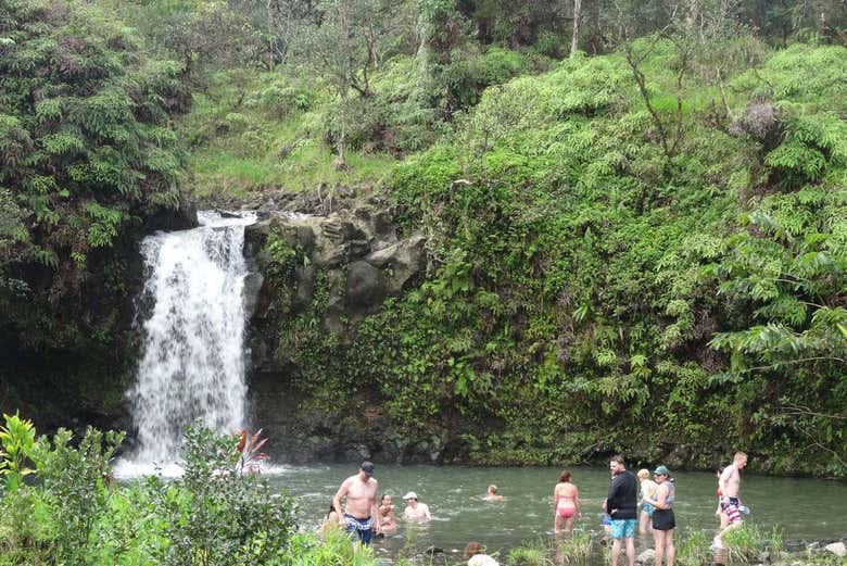 Tropical waterfalls in Maui