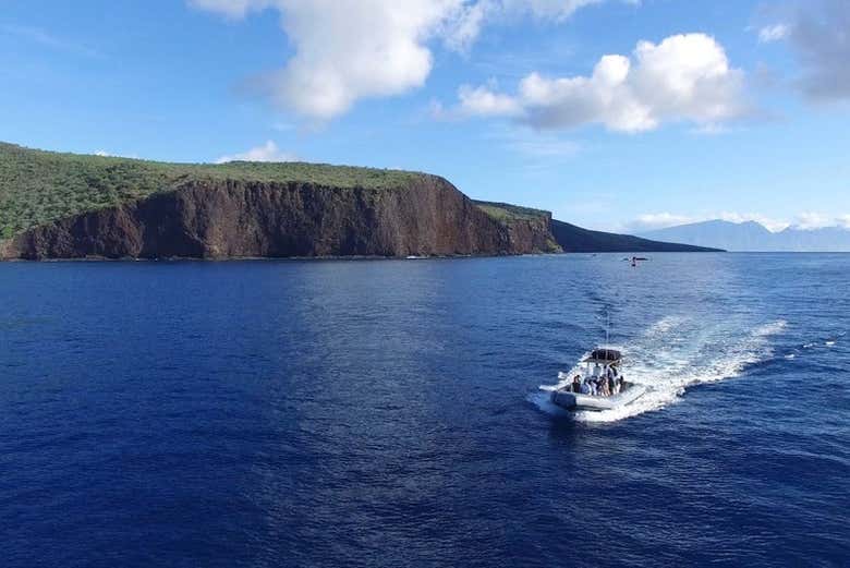 Snorkeling in Lahaina, Maui