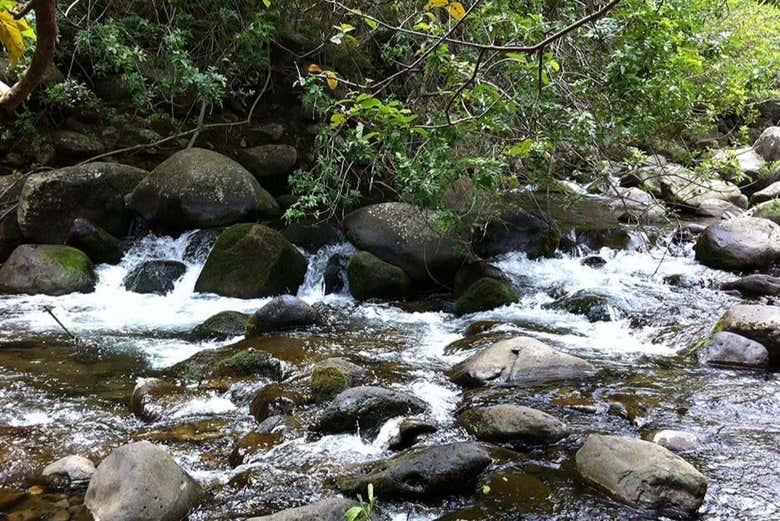 Nature luxuriante de la Vallée d'Iao