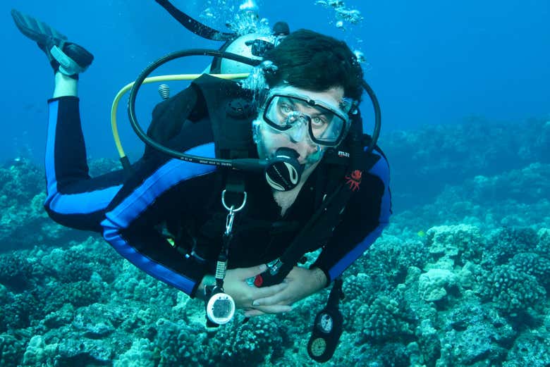 Learn to dive in Hawaii