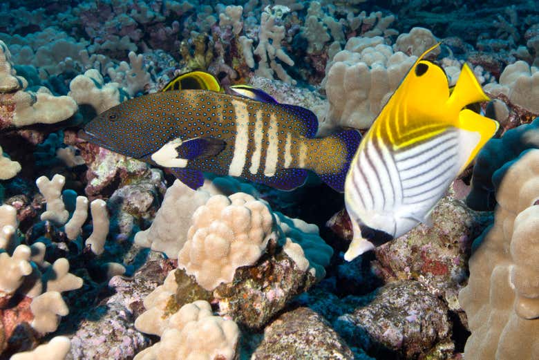 You'll be blown away by the rich biodiversity