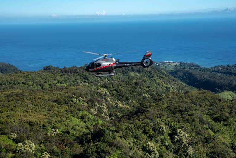 Sobrevolando la selva tropical de Hana