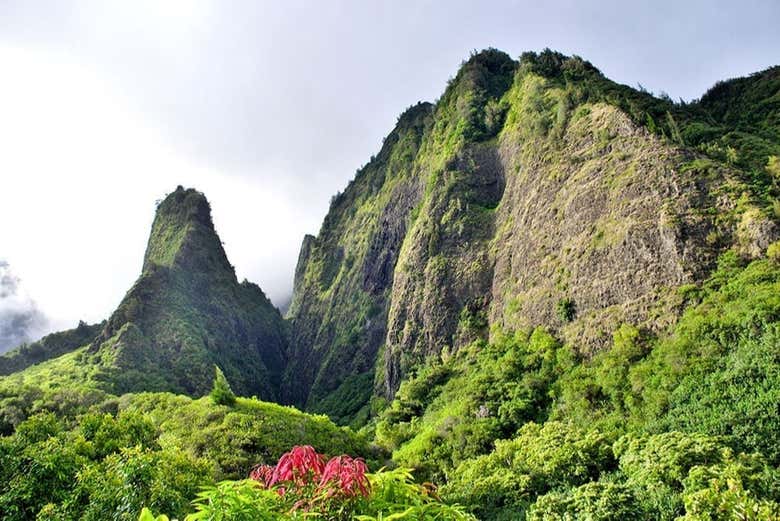 Vallée d'Iao, Maui