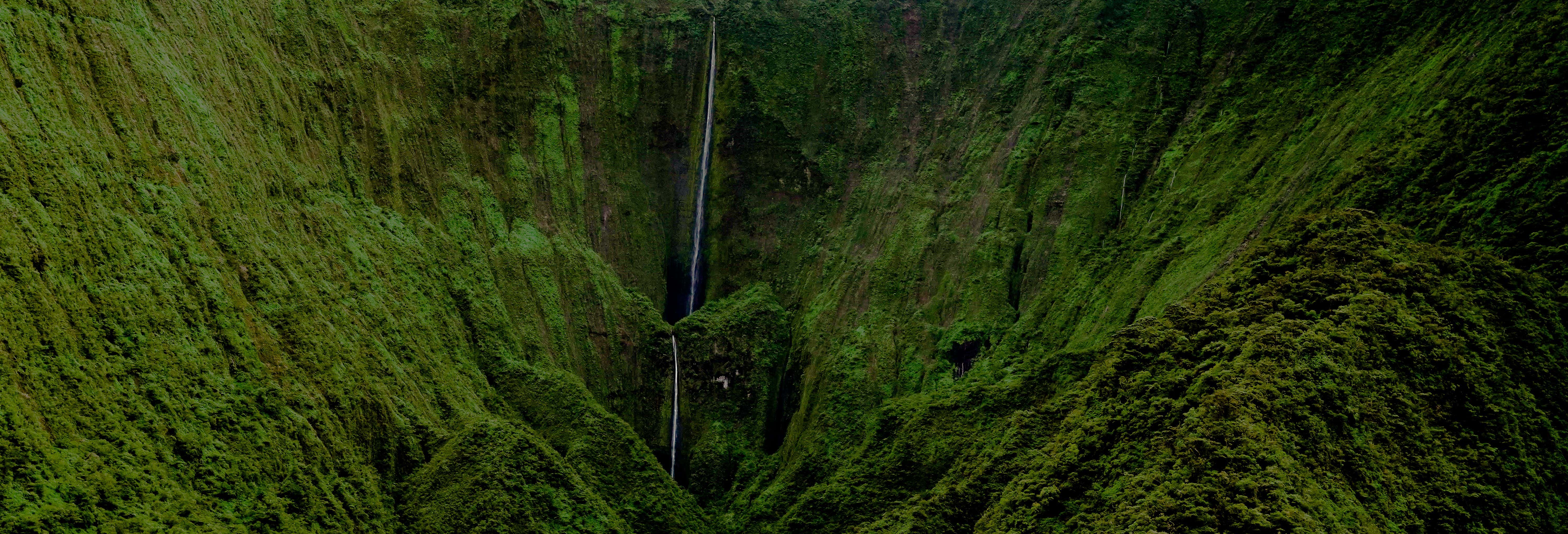 Paseos aéreos en Maui