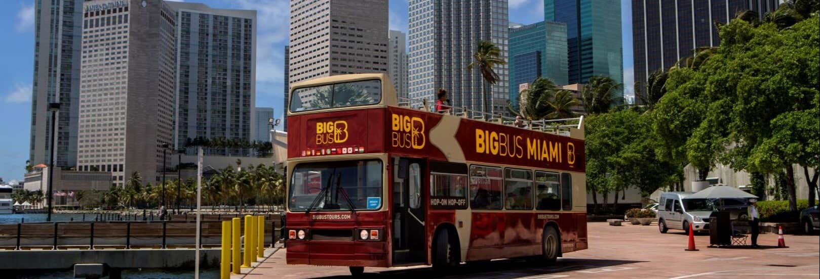 Visites guidées et free tours à Miami