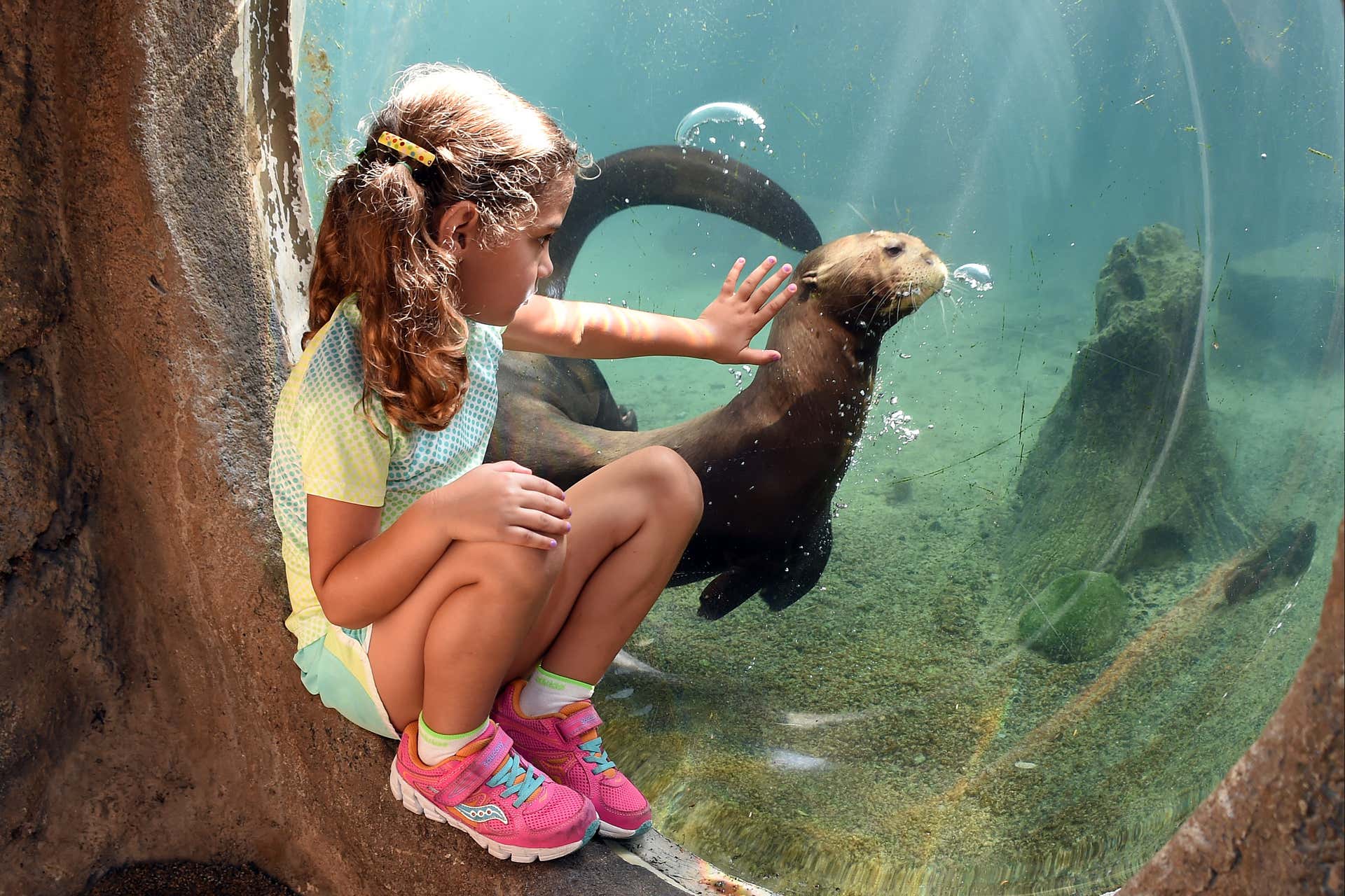 Biglietti per lo Zoo di Miami