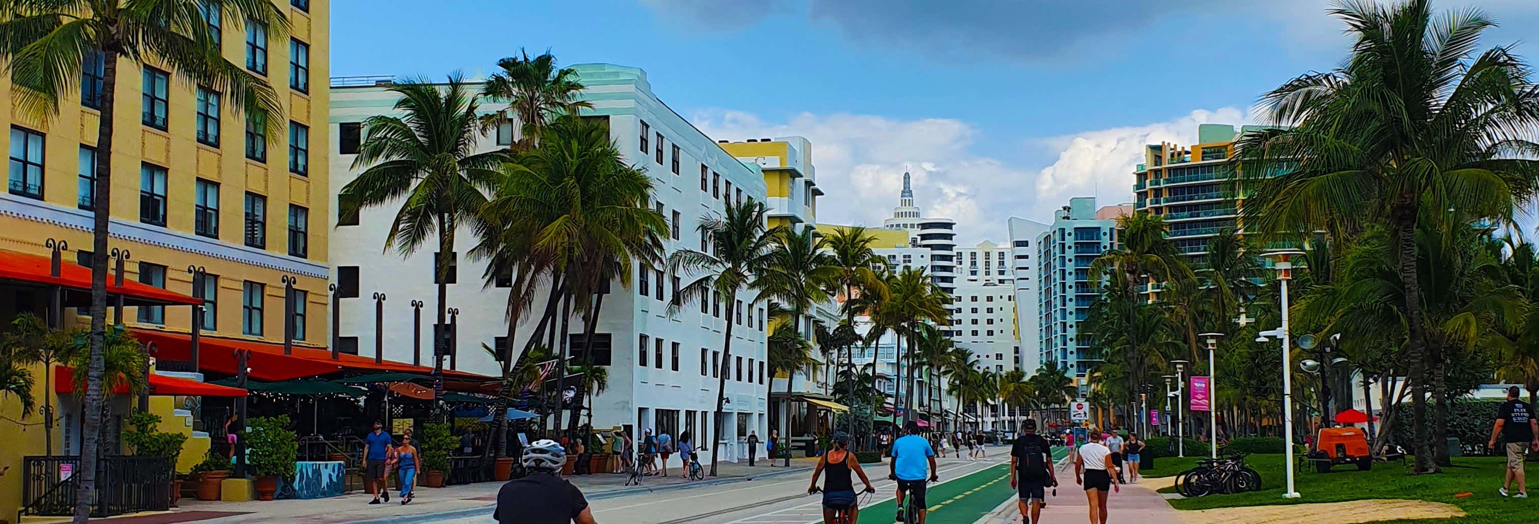 Guided tours and free tours in Miami