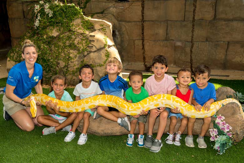 Conociendo una pitón albina