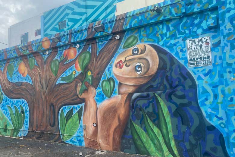 Contemplando obras de arte urbano en Little Havana