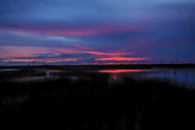 Les Everglades à la tombée de la nuit