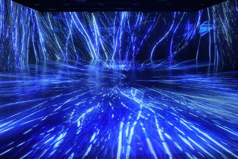 Un cuarto iluminado con juego de luces en tonos azules