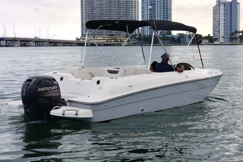 Durante la actividad