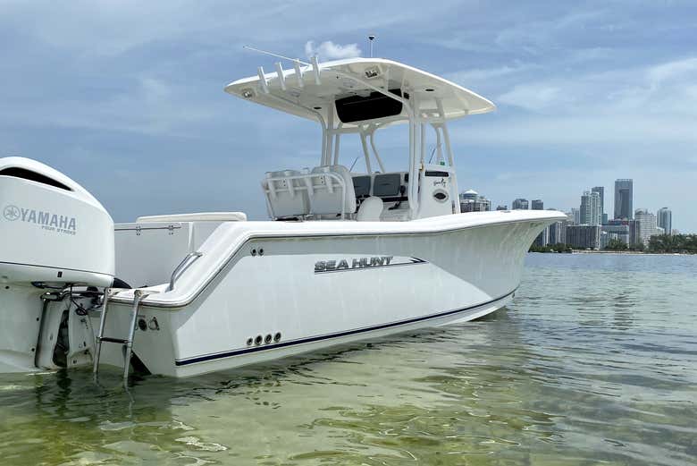 Boat for the activity