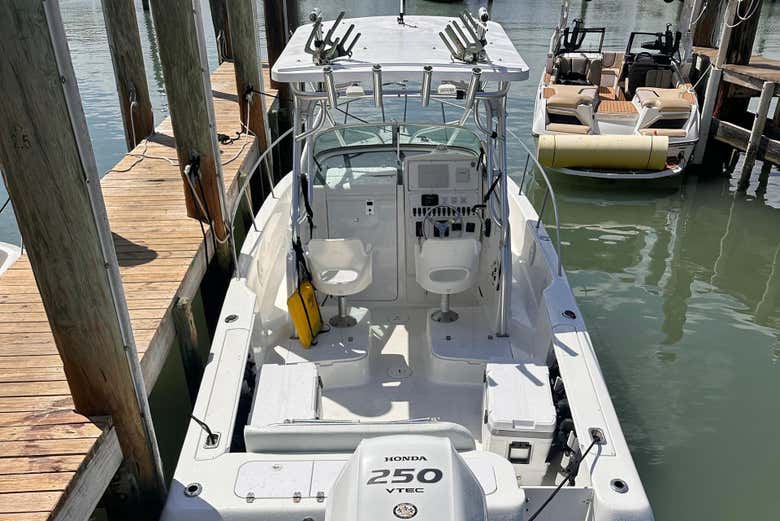 El barco en el que realizaremos esta exclusiva excursión