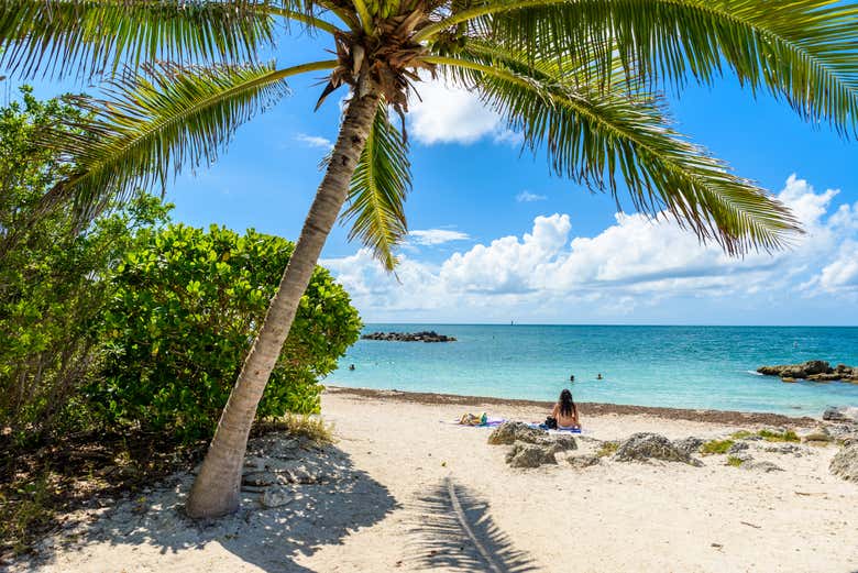 Uma praia rodeada de vegetação exuberante
