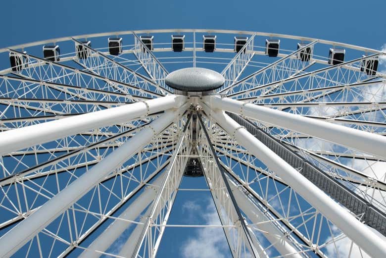 Detalles de la atracción