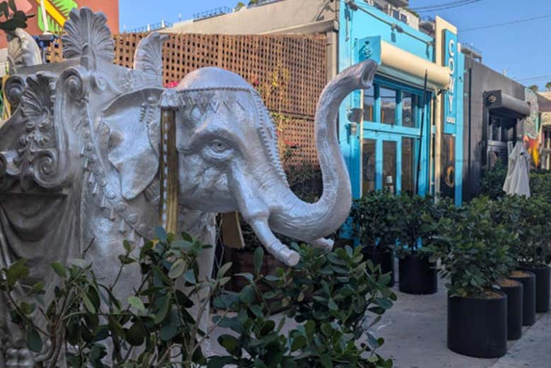 Vous passerez un excellent moment !