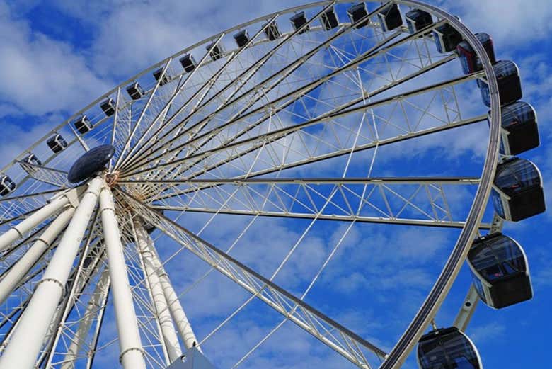Podréis contemplar el horizonte del centro urbano de Miami